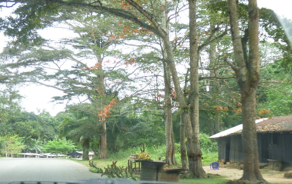 Un village du Moyen-Ogooué, sur la route de Libreville