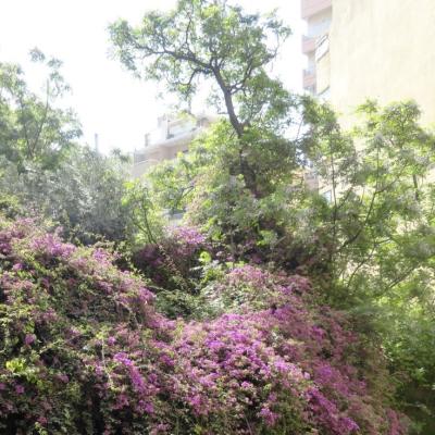 Dsc00657 1
